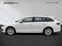 Octavia Top Selection