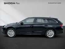 Octavia Top Selection