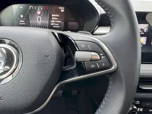 Škoda Fabia Top Selection