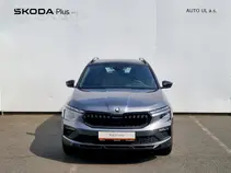 Kamiq Monte Carlo