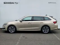 Octavia Top Selection