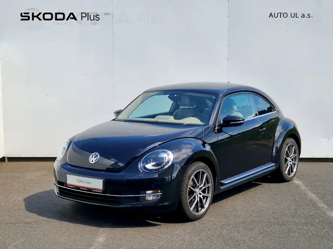 Beetle 