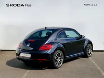 Beetle