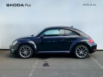 Beetle 