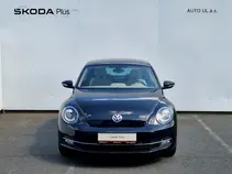 Beetle 