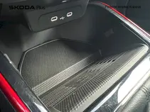Fabia Monte Carlo