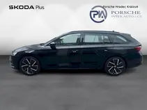 Octavia 