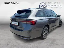 Octavia 