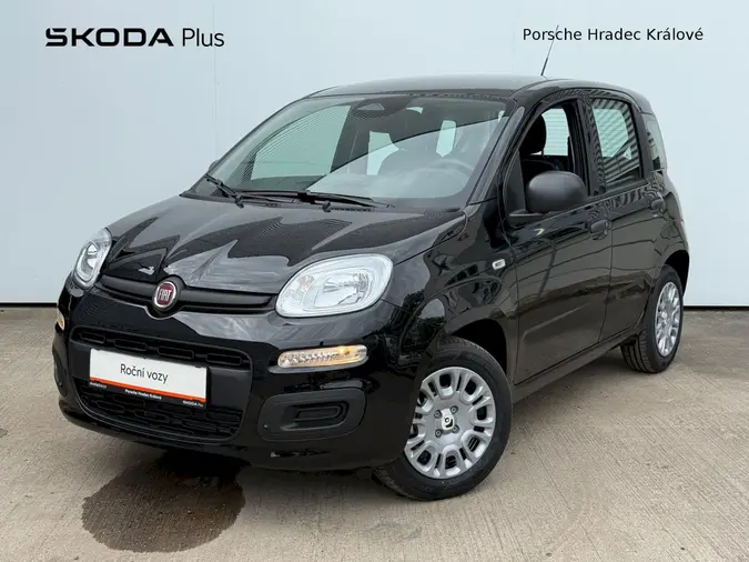 Panda