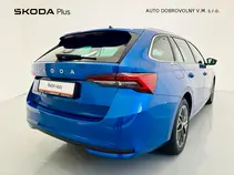 Octavia Top Selection