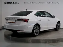Octavia Exclusive Selection