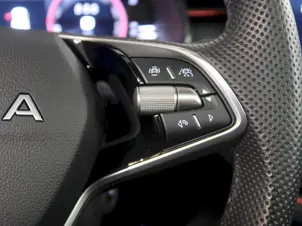Škoda Kamiq Monte Carlo