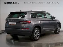 Kodiaq Style