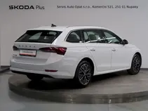 Octavia 