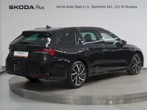 Octavia 