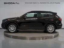 Touareg