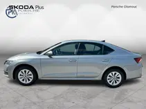 Octavia 