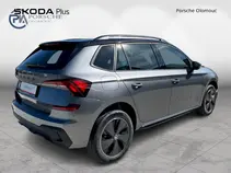 Kamiq Monte Carlo
