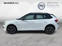 Kamiq Monte Carlo