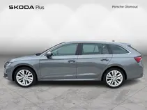 Octavia 