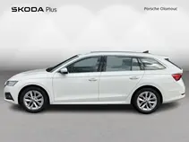 Octavia