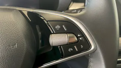 Škoda Fabia Top Selection