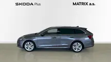 Octavia Exclusive Selection