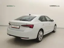Octavia Exclusive Selection