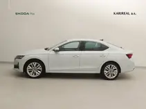 Octavia Exclusive Selection