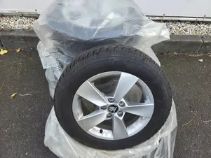 Škoda Fabia Monte Carlo