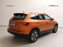 Karoq Style
