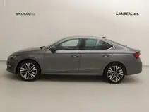 Octavia Exclusive Selection