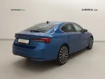 Octavia Exclusive Selection