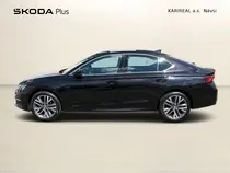 Octavia Exclusive Selection