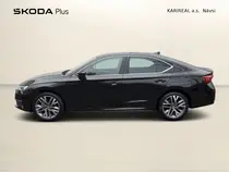 Octavia Exclusive Selection
