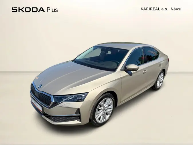 Octavia Exclusive Selection