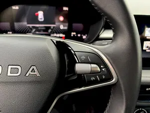 Škoda Fabia Selection