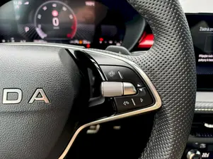 Škoda Fabia Monte Carlo