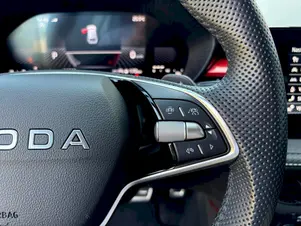Škoda Fabia Monte Carlo