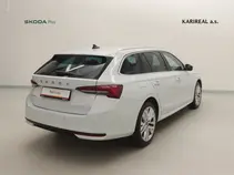 Octavia Exclusive Selection