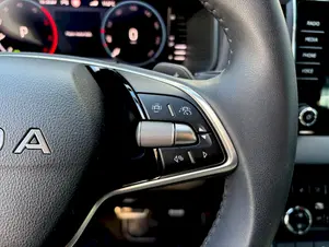 Škoda Karoq Top Selection