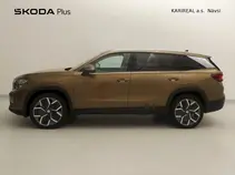 Kodiaq Exclusive Selection