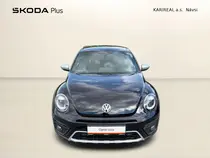 Beetle 