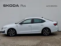 Octavia 