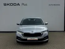 Octavia 