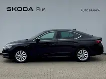 Octavia Top Selection