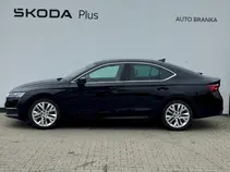 Octavia 