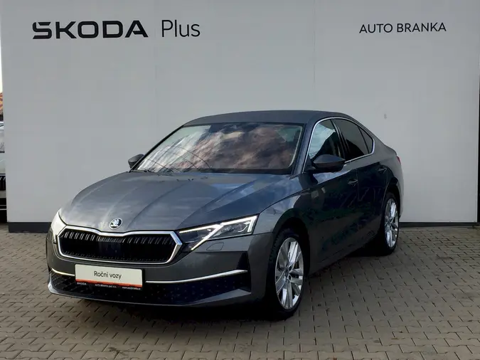 Octavia Exclusive Selection