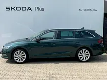 Octavia 
