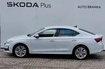 Octavia Exclusive Selection